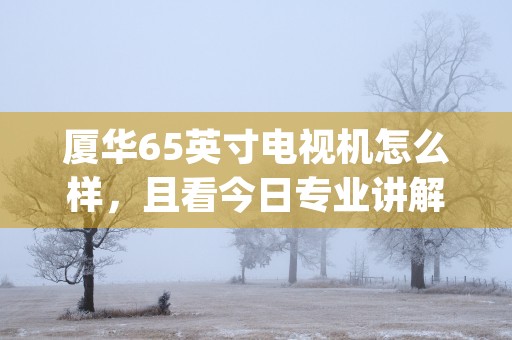 厦华65英寸电视机怎么样，且看今日专业讲解！ (厦华电视多少钱一台)