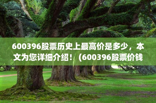 600396股票历史上最高价是多少，本文为您详细介绍！ (600396股票价钱)