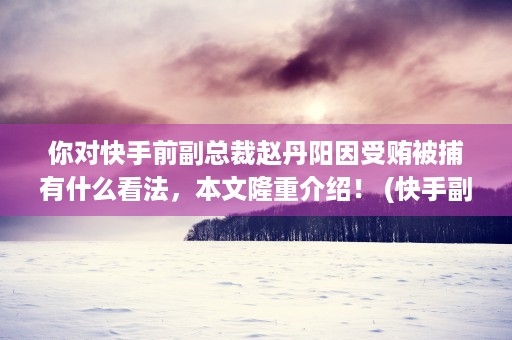 你对快手前副总裁赵丹阳因受贿被捕有什么看法，本文隆重介绍！ (快手副总裁陈思诺)