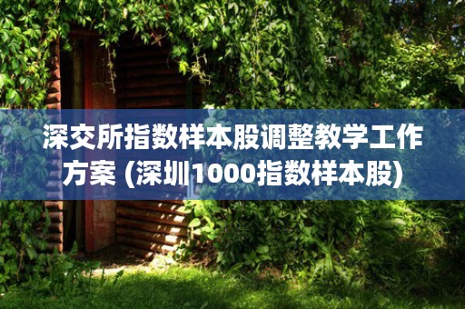 深交所指数样本股调整教学工作方案 (深圳1000指数样本股)