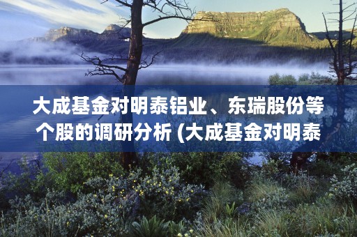 大成基金对明泰铝业、东瑞股份等个股的调研分析 (大成基金对明泰铝材的影响)