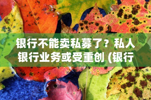 银行不能卖私募了？私人银行业务或受重创 (银行可以卖私募产品吗)