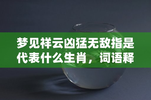 梦见祥云凶猛无敌指是代表什么生肖，词语释义落实_V8.5.79 (梦见祥云凶猛无敌打一生肖)