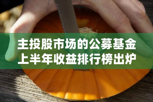 主投股市场的公募基金上半年收益排行榜出炉！主动权益基金冠军赚了%，首尾业绩相差个百分点 (公募基金属于主力资金吗?)