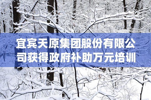 宜宾天原集团股份有限公司获得政府补助万元培训心得体会 (宜宾天原集团股份有限公司)