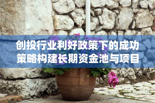 创投行业利好政策下的成功策略构建长期资金池与项目资源整合 (创投行业利好政策最新)