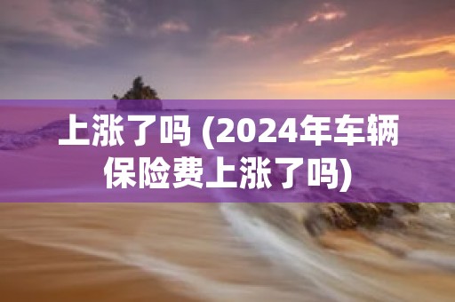 上涨了吗 (2024年车辆保险费上涨了吗)