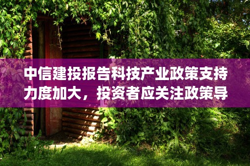 中信建投报告科技产业政策支持力度加大，投资者应关注政策导向标的 (中信建投2021年中报)