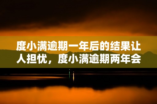 度小满逾期一年后的结果让人担忧，度小满逾期两年会起诉