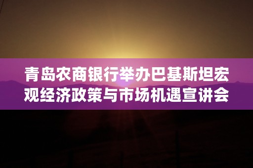 青岛农商银行举办巴基斯坦宏观经济政策与市场机遇宣讲会深化中巴经济合作的新篇章 (青岛农商银行)