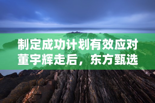 制定成功计划有效应对董宇辉走后，东方甄选股价半年腰斩的策略 (那制定计划的主要作用有)