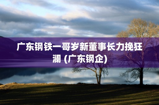 广东钢铁一哥岁新董事长力挽狂澜 (广东钢企)