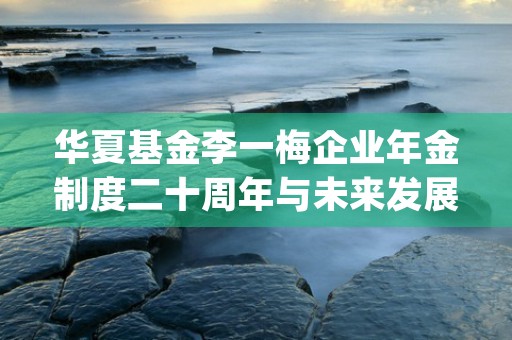 华夏基金李一梅企业年金制度二十周年与未来发展策略 (华夏基金董事长)