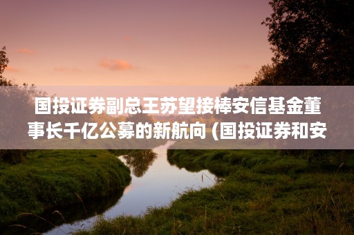 国投证券副总王苏望接棒安信基金董事长千亿公募的新航向 (国投证券和安信证券)