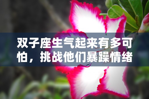 用英语介绍12生肖虎，让你彻底了解这个可爱的动物