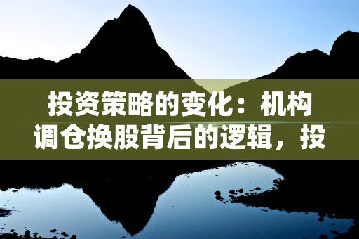 投资策略的变化：机构调仓换股背后的逻辑，投资策略主要观点