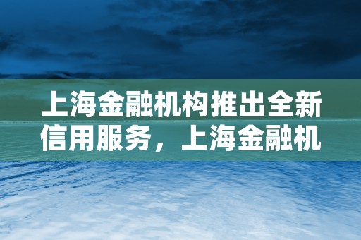 上海金融机构推出全新信用服务，上海金融机构是什么贷款