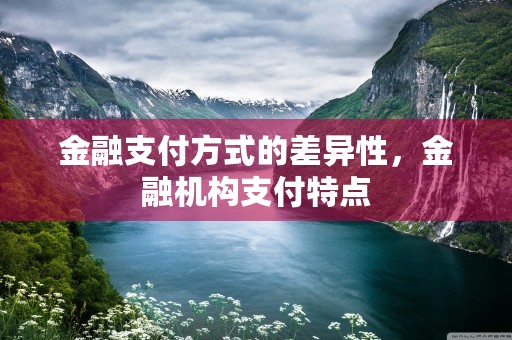 金融支付方式的差异性，金融机构支付特点