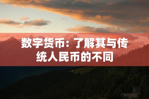 数字货币: 了解其与传统人民币的不同