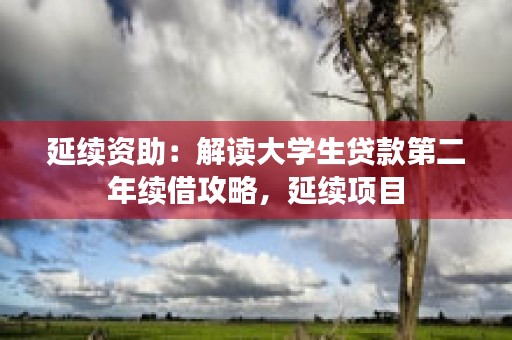 延续资助：解读大学生贷款第二年续借攻略，延续项目