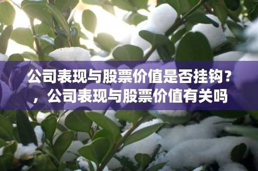 公司表现与股票价值是否挂钩？，公司表现与股票价值有关吗