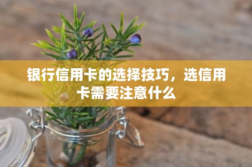 银行信用卡的选择技巧，选信用卡需要注意什么