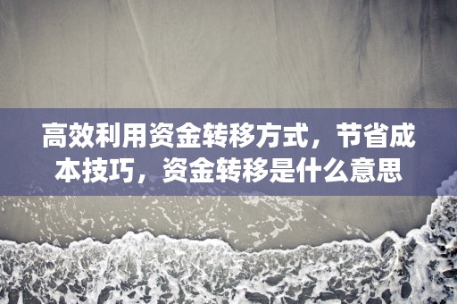 高效利用资金转移方式，节省成本技巧，资金转移是什么意思