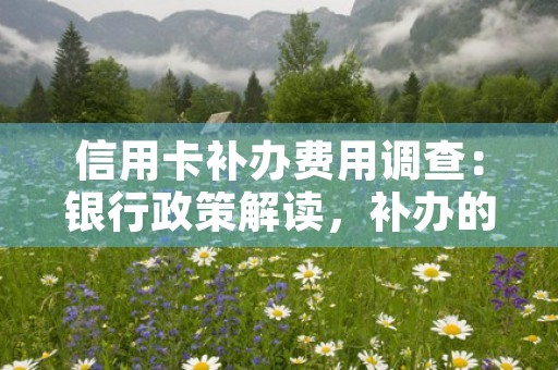 信用卡补办费用调查：银行政策解读，补办的信用卡额度一样吗