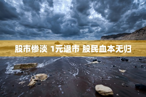 股市惨淡 1元退市 股民血本无归