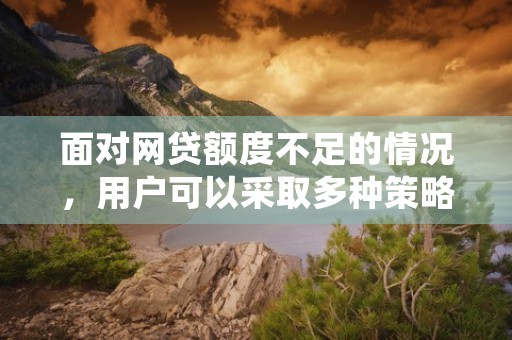 面对网贷额度不足的情况，用户可以采取多种策略应对。一种方法是优化个人信用记录，及时还清现有债务并提高信用评分，从而有可能获得更高的贷款额度。此外，考虑寻找担保人或联合申请贷款也是增加额度的有效途径。同时，选择多家贷款平台进行比较，寻找适合自己需求的贷款产品，也有助于提高获批的可能性。，网贷额度很低