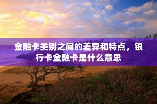 金融卡类别之间的差异和特点，银行卡金融卡是什么意思