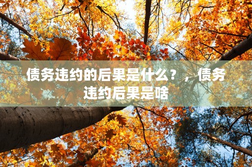 债务违约的后果是什么？，债务违约后果是啥