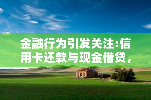 金融行为引发关注:信用卡还款与现金借贷，涉及金融安全且有危害后果