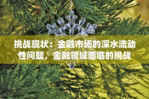 挑战现状：金融市场的深水流动性问题，金融领域面临的挑战