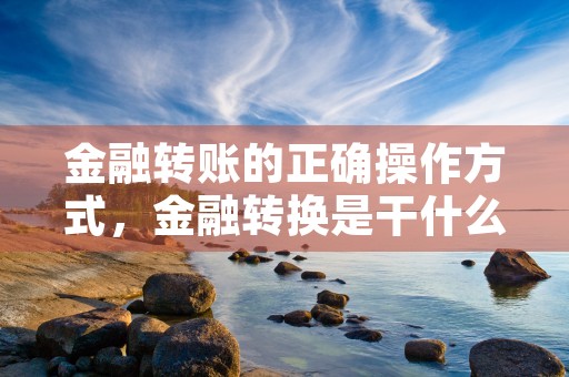 金融转账的正确操作方式，金融转换是干什么的