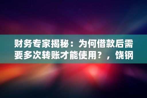 财务专家揭秘：为何借款后需要多次转账才能使用？，饶钢财务专家