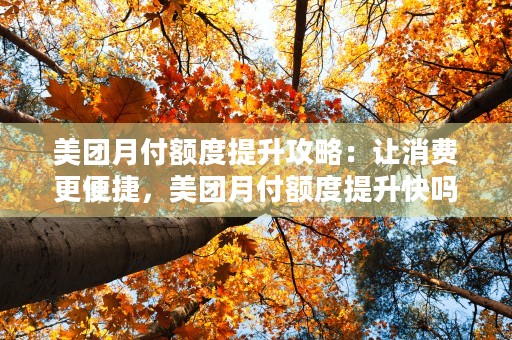 美团月付额度提升攻略：让消费更便捷，美团月付额度提升快吗