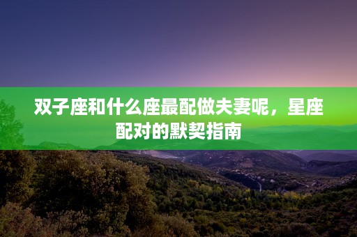 圆明园的12生肖鼠，探索历史遗迹中的神秘动物图腾