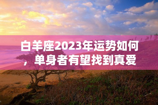 2023年金牛座婚姻运势