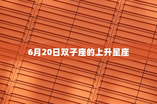 剪纸12生肖龙简单，教你如何制作生肖龙