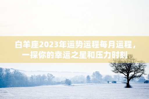 2023年金牛座财运，事业蓬勃发展财富源源不断