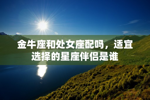 双子座和什么星座最配友情