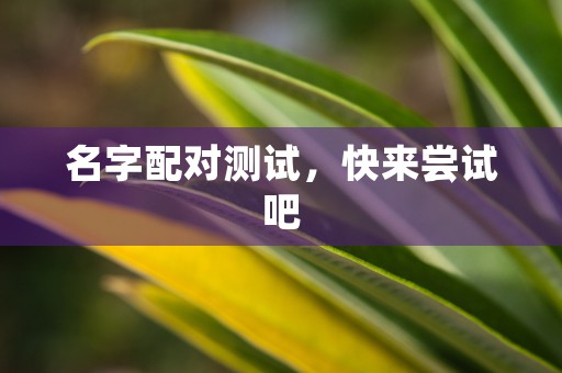 金牛座5月运势2023年复合，桃花热络恋爱顺利幸福指数飙升