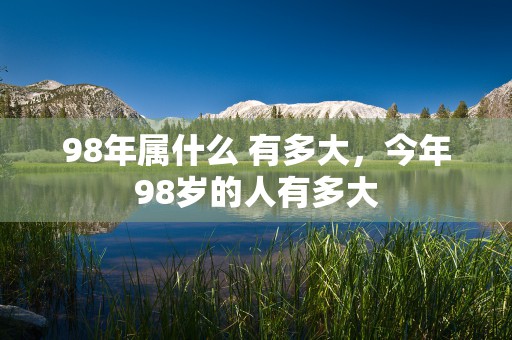 金牛座男性格特点，揭秘他们的务实与耐心品质